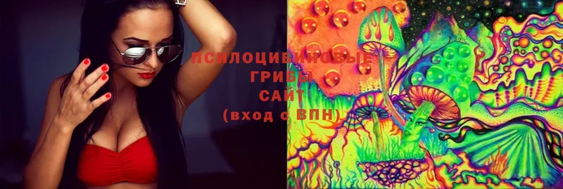 Псилоцибиновые грибы Magic Shrooms  где продают наркотики  Оханск 